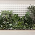 Assorted Tropical Flowers And Green Plants With Large Foliage For Decorative Garden