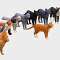 Colorful Low Poly Cat Models Standing in a Row with Various Hues 3d model
