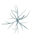 Organizational System Visualization With Branching Network Structure Central Hub And Extending Filaments