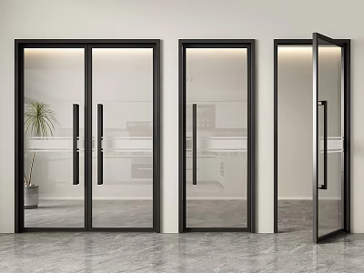 Modern Glass Double Doors With Black Frames In Interior Kitchen View And Plant 3d model