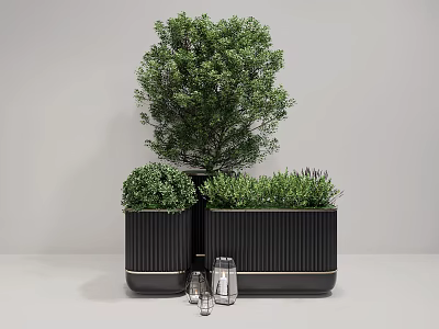Modern Plant Arrangement with Black Striped Planters and Tall Short Greenery 3d model