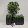 Modern Plant Arrangement with Black Striped Planters and Tall Short Greenery