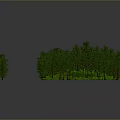 Green Forest Landscape With Dense Trees Lush Green Grass And Surrounding Trees In Square Area
