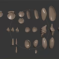 Various Marine Animal Shells With Different Shapes Sizes Light Brown Beige Tones On Dark Background