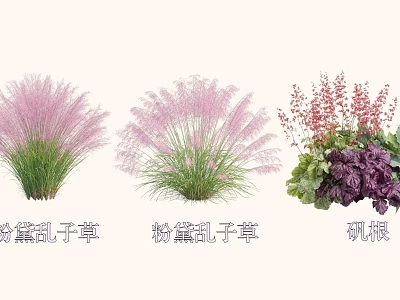 Colorful Shrub Collection Featuring Pink Muhly Grass Purple Muhly Grass and Heuchera Plants 3d model