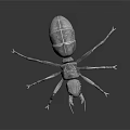 Flying Ant 3D Render With Gray Exoskeleton Long Legs And Reflection On Dark Surface 3d model