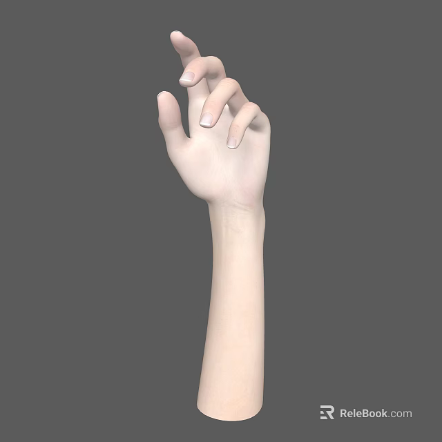 Realistic Human Hand and Arm with Slightly Curved Fingers Against Gray Background 3d model 