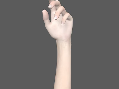 Realistic Human Hand and Arm with Slightly Curved Fingers Against Gray Background 3d model