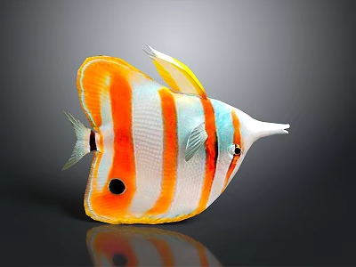 Colorful Tropical Fish with Orange White Blue Stripes Yellow Fins Black Spot and Long Nose 3d model