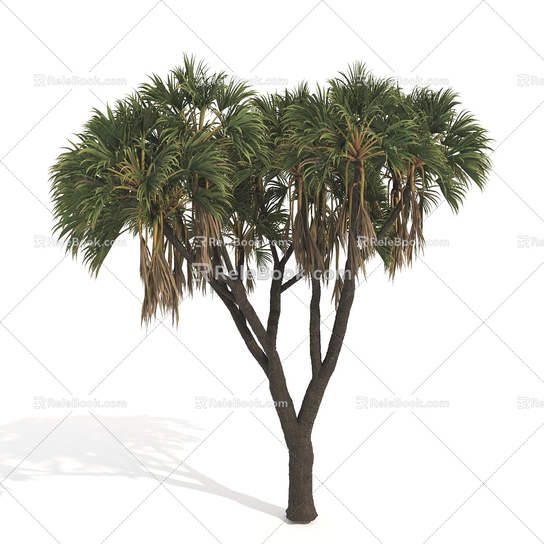 Plants Trees Big Trees Arbor 3d model