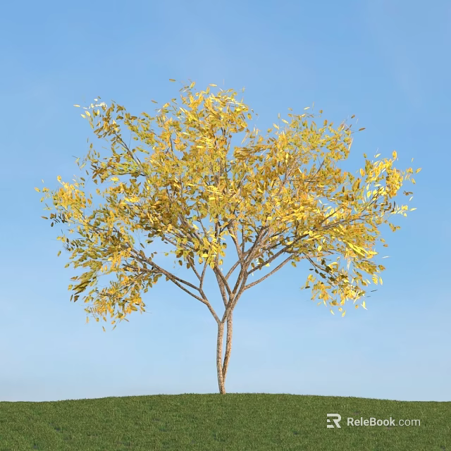 Vibrant Arbor With Lush Yellow Leaves Under Clear Blue Sky 3d model 