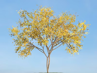 Vibrant Arbor With Lush Yellow Leaves Under Clear Blue Sky 3d model