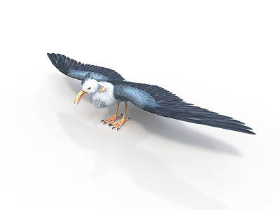 Bird With Spread Black Wings White Body Yellow Beak And Orange Feet 3d model