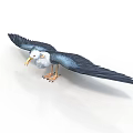 Bird With Spread Black Wings White Body Yellow Beak And Orange Feet