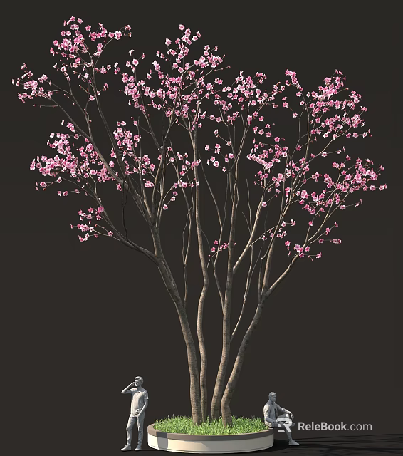 Beautiful Pink Cherry Blossom Tree With Delicate Branches And Flowers 3d model 