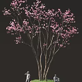 Beautiful Pink Cherry Blossom Tree With Delicate Branches And Flowers 3d model