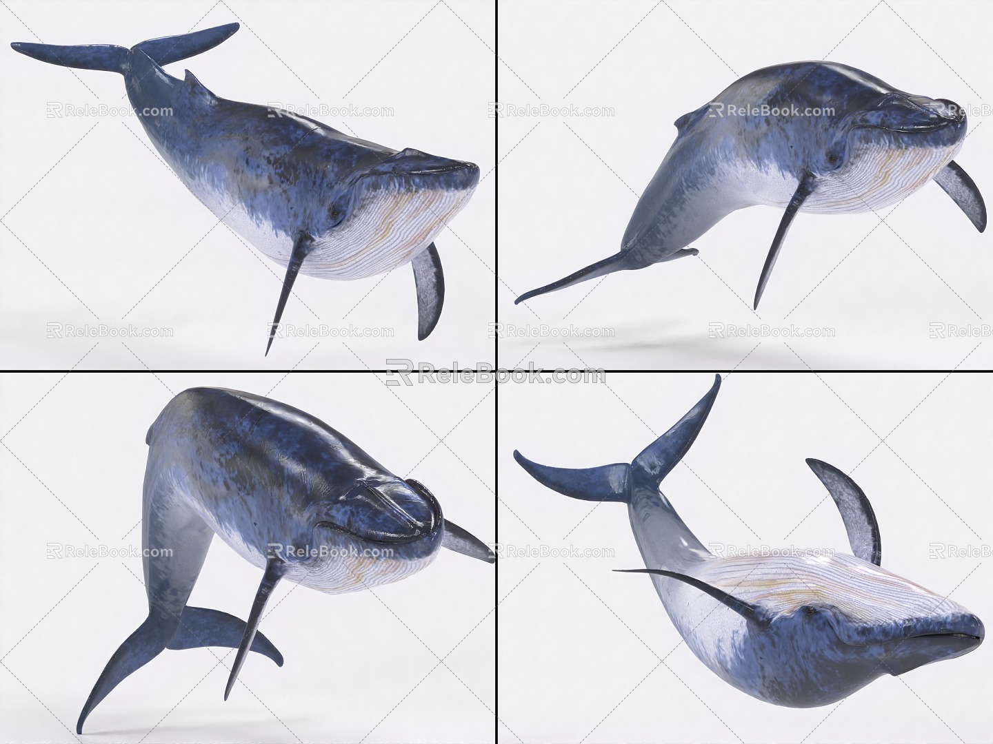 Blue Whale with Bound and Animated Whale Sea Creatures 3d model