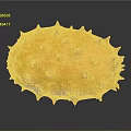 Fresh Shiny Orange Kiwano Horned Melon with Spiky Exterior on Dark Background