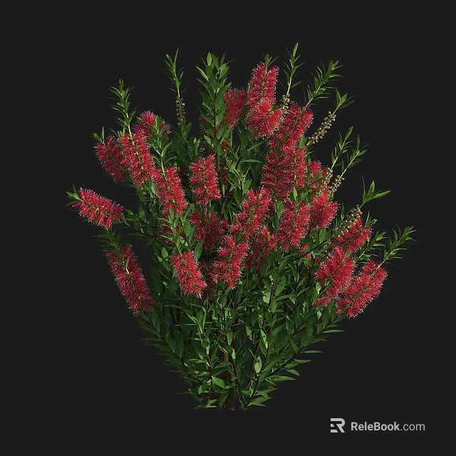 Vibrant Red Flowering Bush With Dense Green Leaves And Lush Foliage 3d model 
