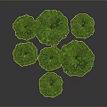 Multiple Green Pine Trees In 3D Model With Gray Background