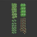 Various Types of Green and Purple Crop Seedlings Neatly Arranged on Black Background