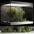 Modern Garden Decor Piece with Glass Container Green Plants and Rock Wall Background