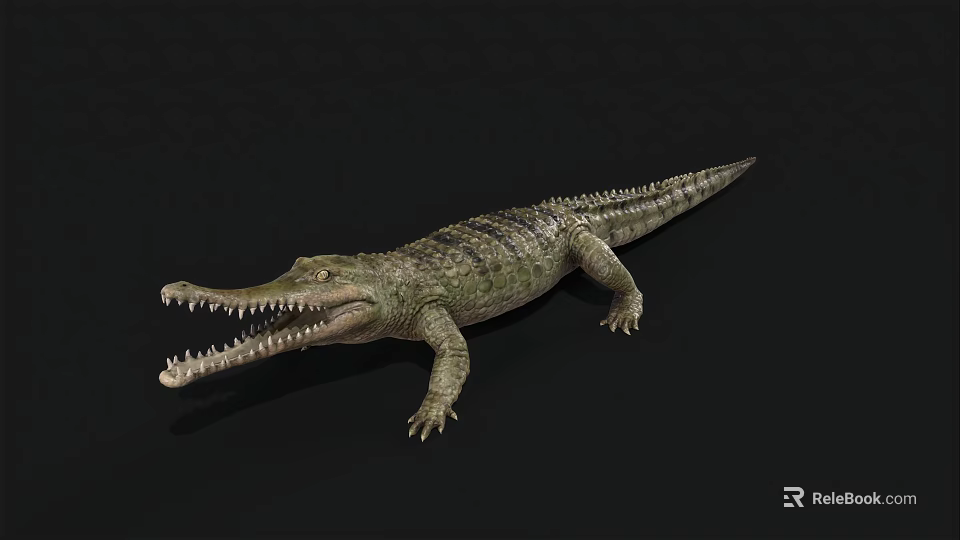Reptile Crocodile with Open Mouth Sharp Teeth and Green Scales on Black Background 3d model 