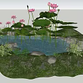 Beautiful Garden Pond Feature With Lotus Flowers Leaves Stones And Green Grass
