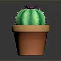 Decorative Green Cactus with Pink Flower and White Spines in Orange Ceramic Pot
