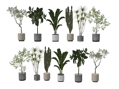 Various Stylish Bonsai Potted Plants With Different Plant Types And Decorative Pots 3d model
