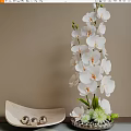Elegant Potted Bonsai Plant With White Orchids And Green Stems Leaves For Home Decor