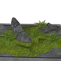 Courtyard Garden Design With Natural Stones Ferns And Green Moss Grass