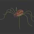 Realistic Brown Spider With Long Legs On Dark Reflective Surface 3d model