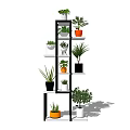 Modern Multi Tiered Shelf with Colorful Potted Plants for Indoor