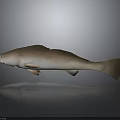 Brown And Light Brown Fish Lying On Gray Background With Smooth Surface Reflection