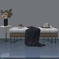 Modern Hinged Door Interior With Bench Blanket Dried Flowers And Small Table 3d model