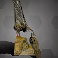 Vibrant Flying Birds With Spread Feathers Standing On Rocky Natural Surface
