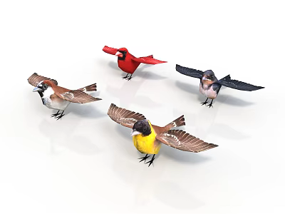 Colorful Birds with Various Colors and Wing Positions on White Background 3d model