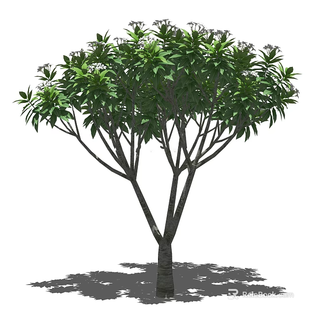 Lush Green Arbor Tree With Dense Foliage And Strong Trunk For Garden Landscaping 3d model 