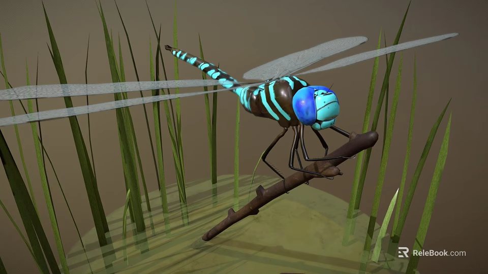 Blue and Black Dragonfly Perched on Branch with Green Reeds and Water Surface 3d model 
