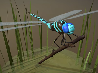 Blue and Black Dragonfly Perched on Branch with Green Reeds and Water Surface 3d model