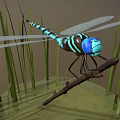Blue and Black Dragonfly Perched on Branch with Green Reeds and Water Surface