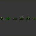 Collection of Green Plant Leaves with Various Shapes and Sizes on Dark Gray Background