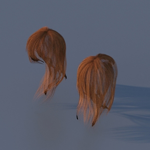 Hair Anime Hair Woman Hairdressing 3d model