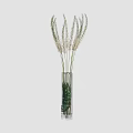 Tall Glass Vase With White Feathery Flowers And Green Leaves For Home Decor