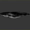Realistic 3D Rendered Whale In Swimming Pose With Dark Color On Gray Background