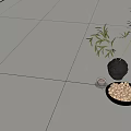 Light Colored Floor Tiles Featuring Black Vase Green Plant Nut Bowl And Small Cup