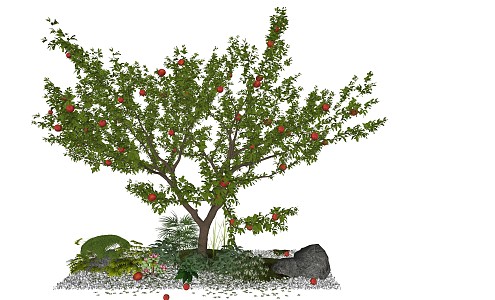 Modern Peach Tree 3d model