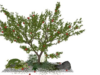 Modern Peach Tree 3d model