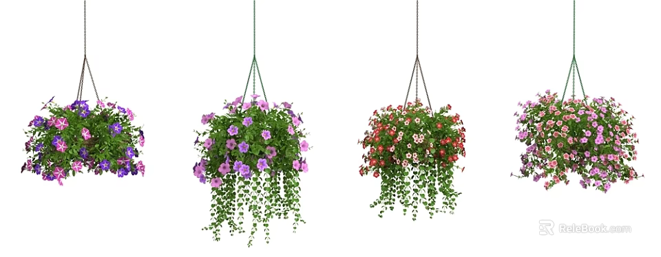 Colorful Hanging Basket Plants With Purple Red Flowers And Trailing Foliage 3d model 